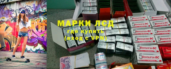 ПСИЛОЦИБИНОВЫЕ ГРИБЫ Алзамай