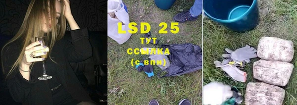 ПСИЛОЦИБИНОВЫЕ ГРИБЫ Алзамай
