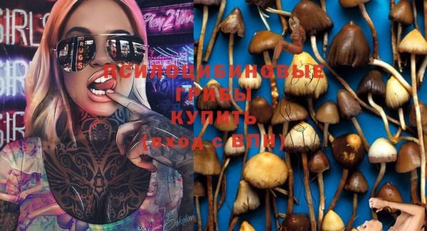 амф Алексеевка
