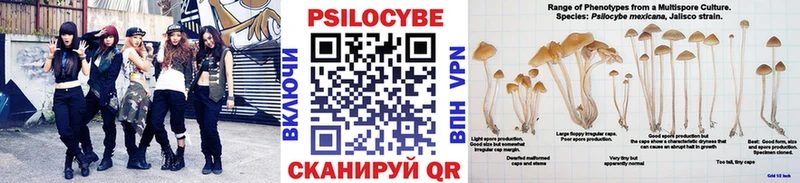 наркота Сокол Псилоцибиновые грибы Cubensis