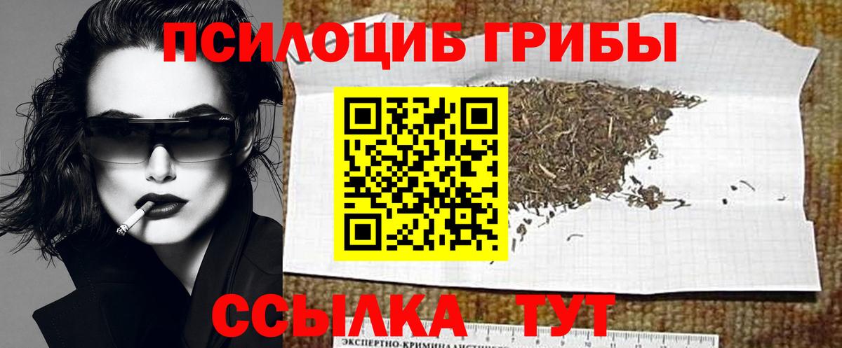 Сокол  Псилоцибиновые грибы MAGIC MUSHROOMS  цена   Вход с VPN 