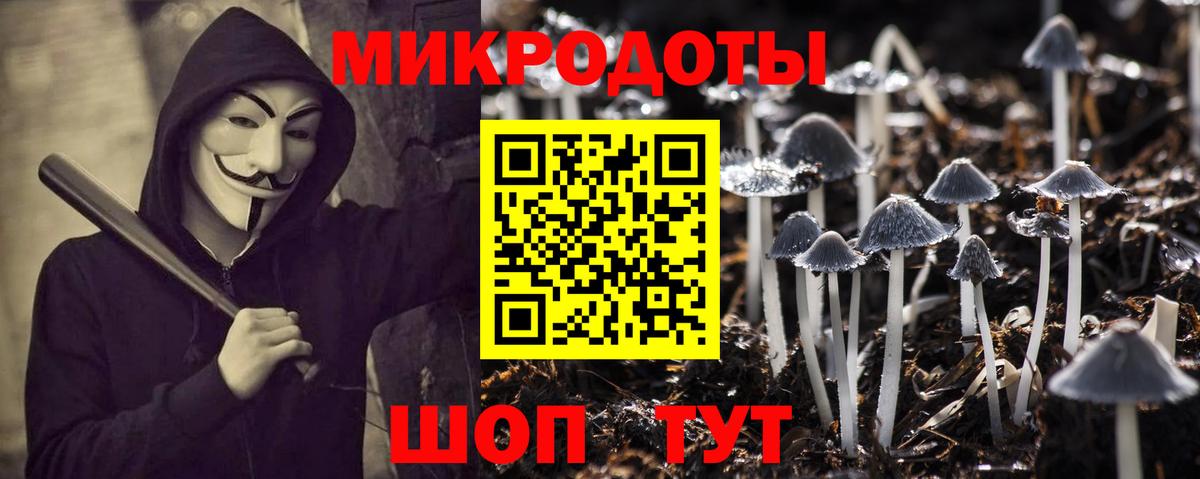 Псилоцибиновые грибы MAGIC MUSHROOMS Сокол