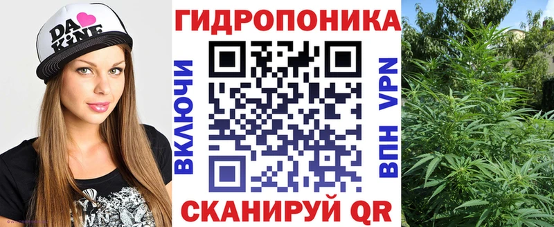 где найти наркотики  Сокол  MEGA ссылка  Каннабис гибрид 